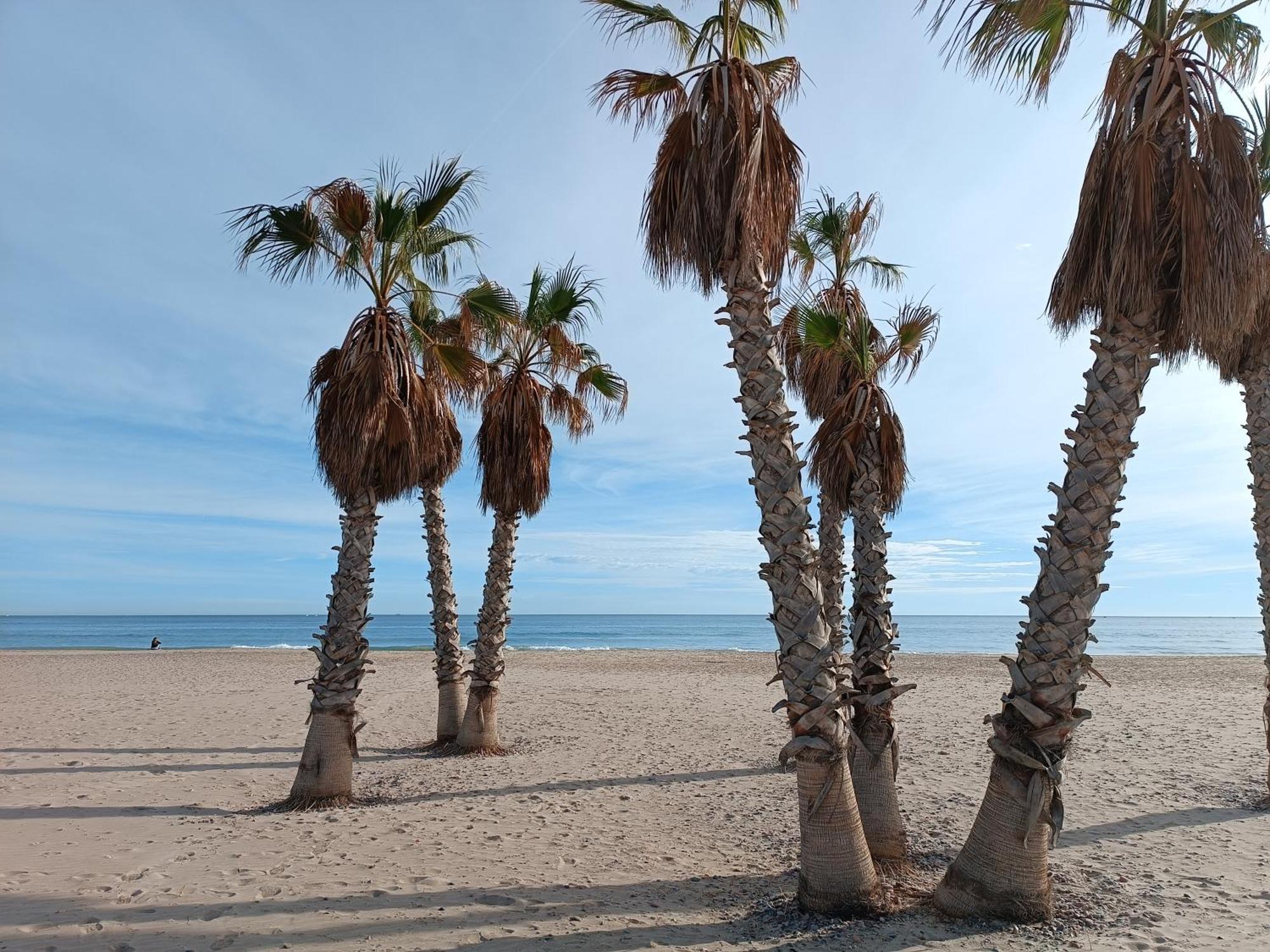 Playa Cannet 20 Km Valencia Piscina Tennis Canet d'En Berenguer Екстериор снимка